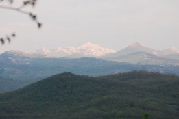 DSC1 (89).jpg